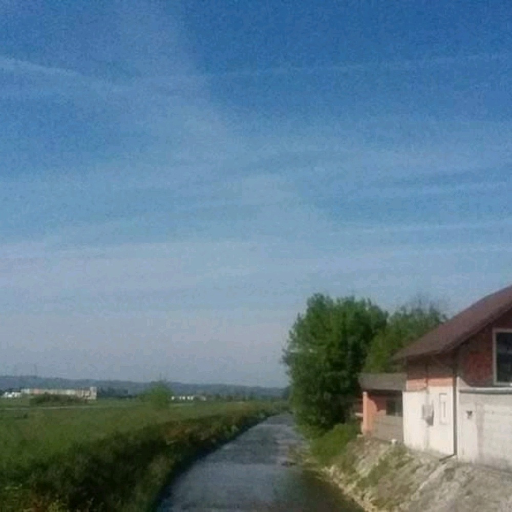 Meet your Posher, Jenny